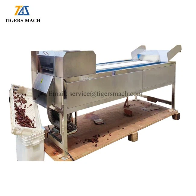 Automatic Strawberry Cutting Machinery