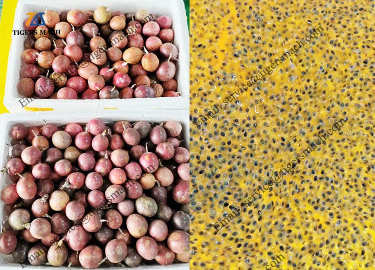 info-750-541 info-750-541