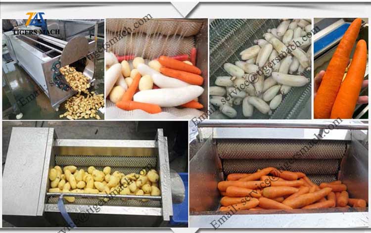 carrot washer peeler machine price carrot washer peeler machine price